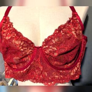 Torrid curves bra size 1